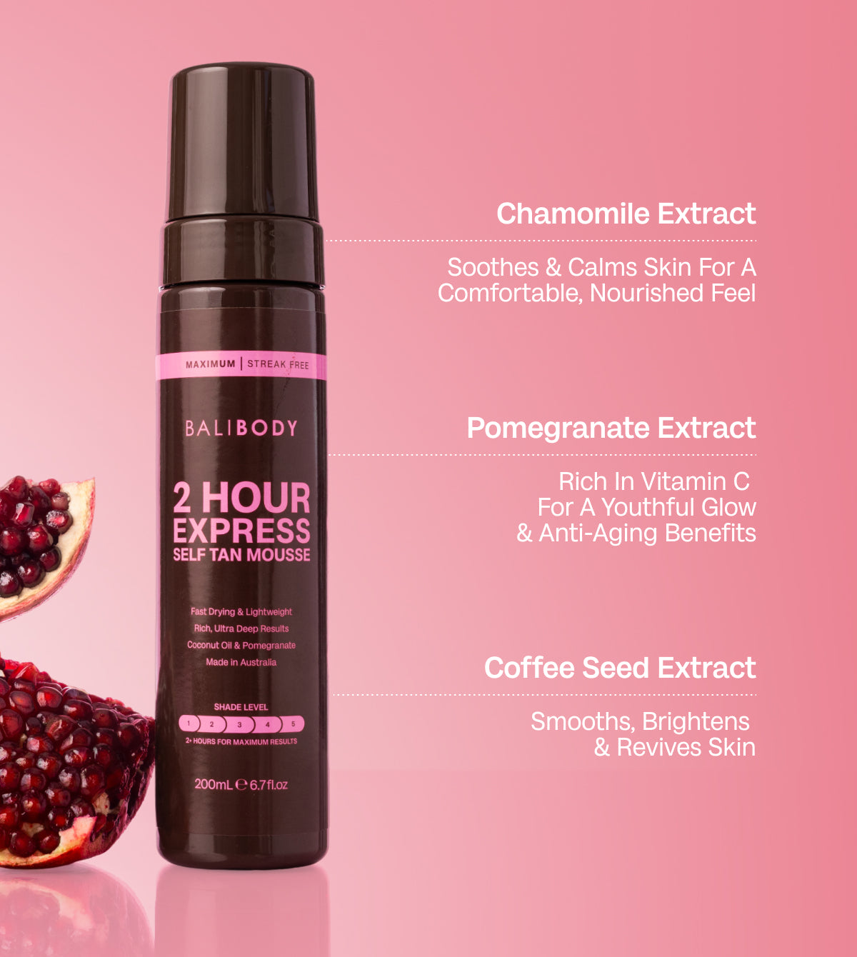 2 Hour Express Self Tan Mousse